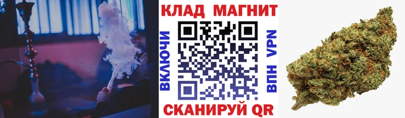 Где купить наркотики Рошаль A-PVP  Меф  КОКАИН  Псилоцибиновые грибы  МАРИХУАНА  ГАШИШ 