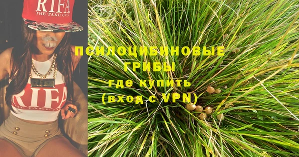 дмт Заводоуковск
