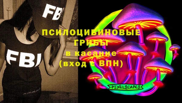 ГАЛЛЮЦИНОГЕННЫЕ ГРИБЫ Заволжск